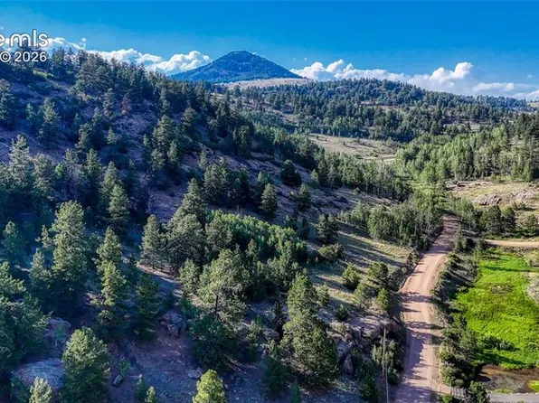 83 Penrose Cir, Florissant, CO 80816