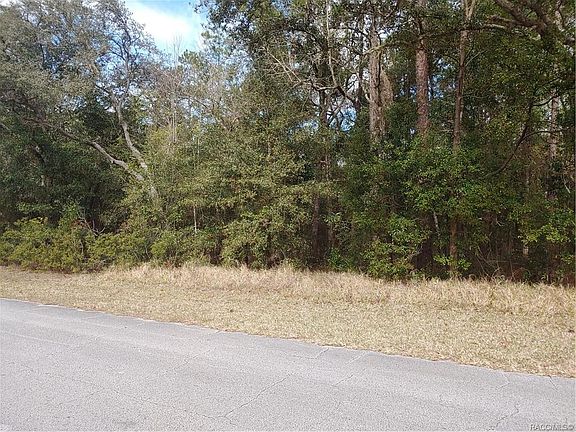 4th image of 10036 N Lindon Dr
