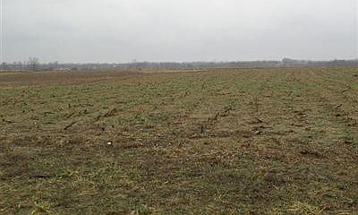 2nd image of 2 Vigo Rd #2