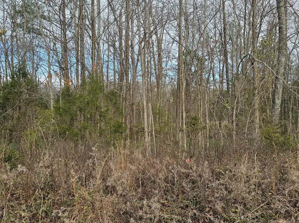0 Lynn Ln Lot 23, Big Sandy, TN 38221