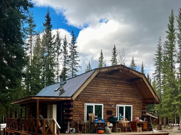 Nhn Red Fox Dr, Tok, AK 99780