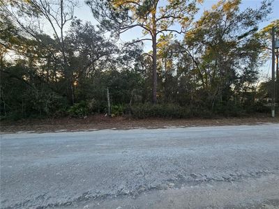 0 Atwood Dr Lot 7, Webster, FL, 33597