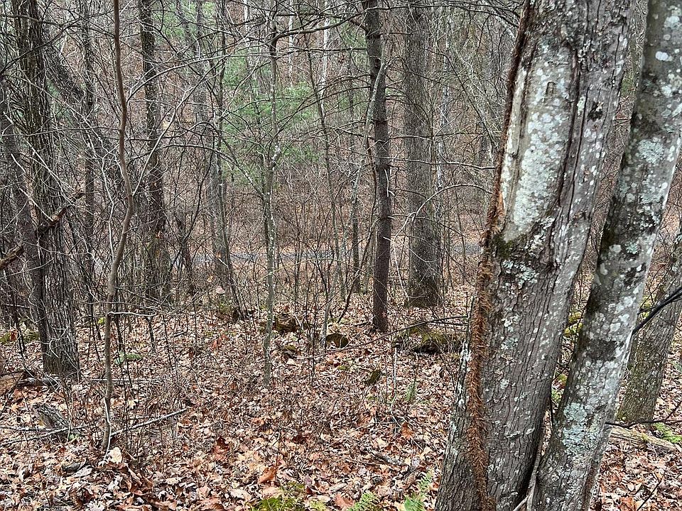 2nd image of 0 Crab Apple Rd