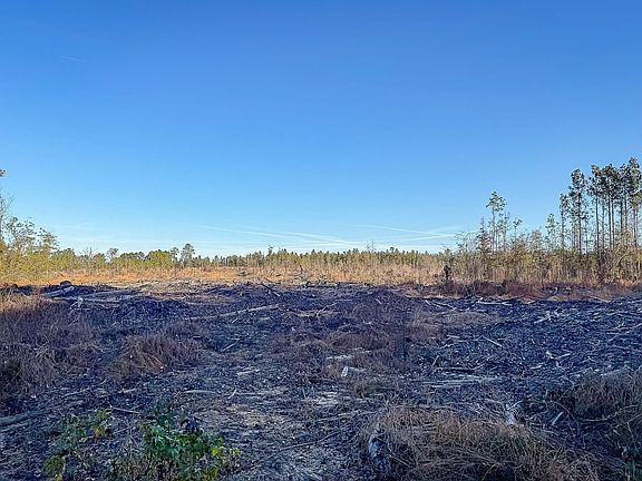 Compass South Land Sales Louisiana Herrington Hill 4