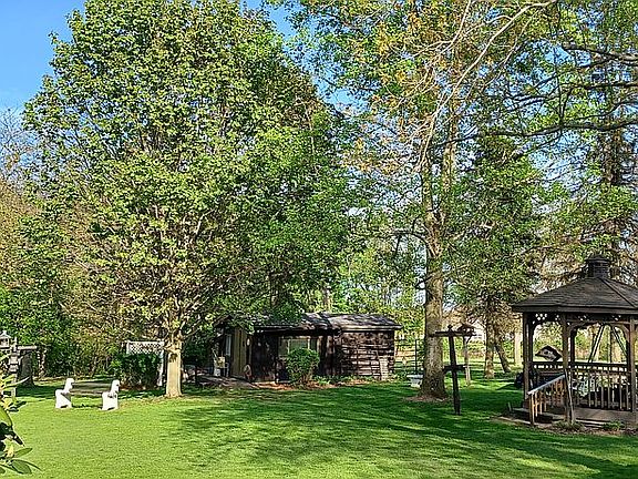 Back yard