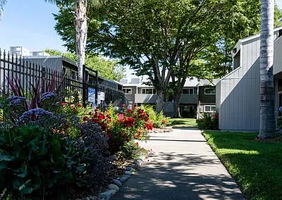Aggie Square Apartments — Photo 20