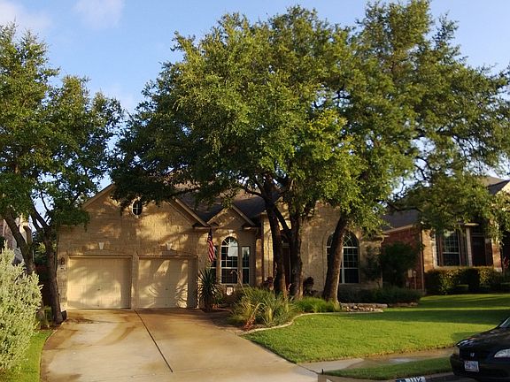 Huge oak trees