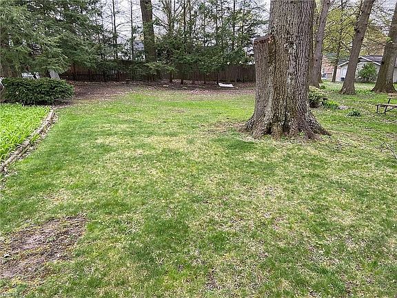 large back yard