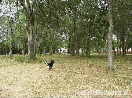 1st image of 4452 Deerhound Dr