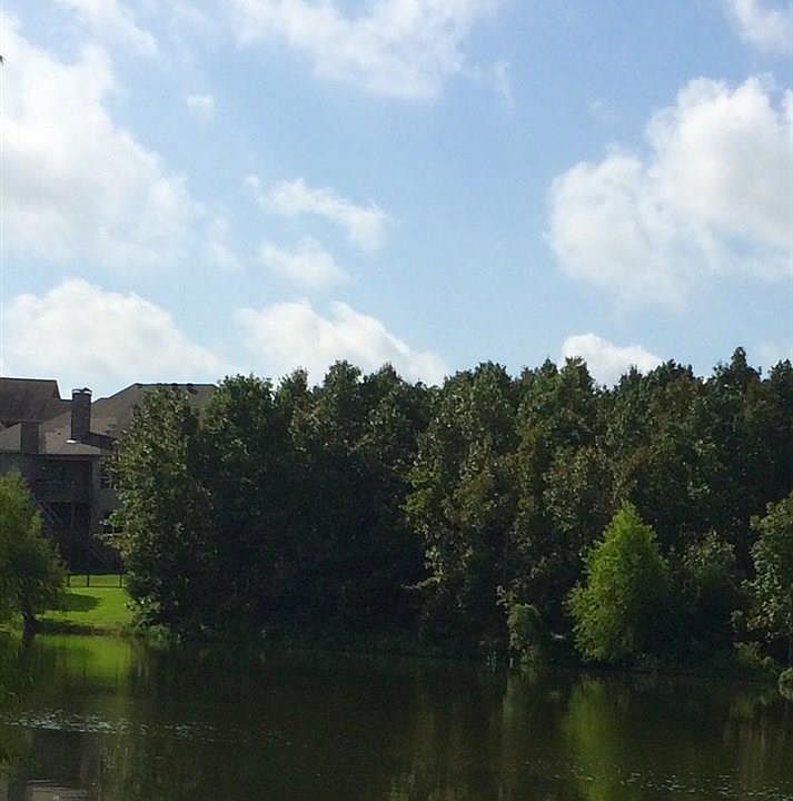 1st image of 76 Cypress Creek Dr