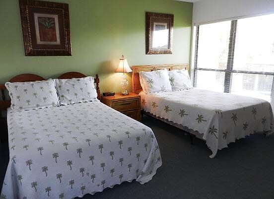4th image of 304 Caribe Vista Way