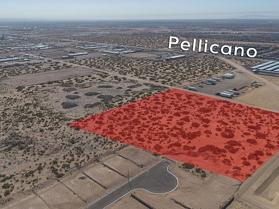 5th image of Pellicano Dr