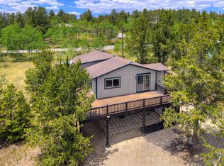 255 Park View Dr, Fairplay, CO 80440