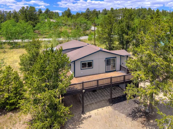 255 Park View Dr, Fairplay, CO 80440