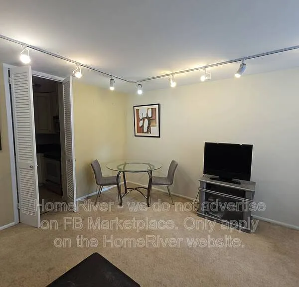 21 W Goethe St #4E — Photo 6