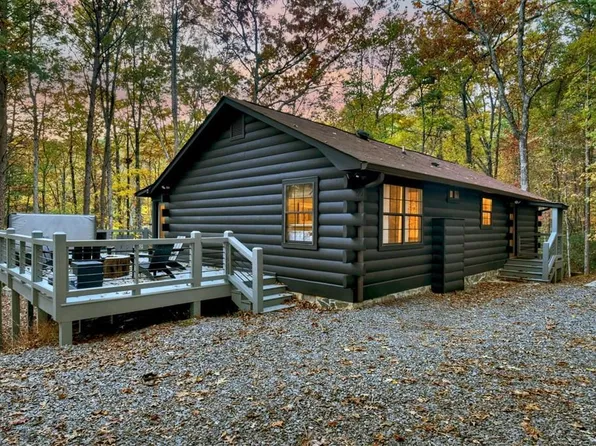 50 Lakeview Dr, Blue Ridge, GA 30513