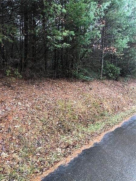 2nd image of 0 Flagpole Rd
