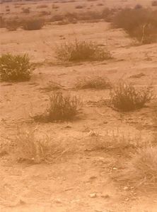 0 N Avenida Sierra Madre, Kingman, AZ, 86409