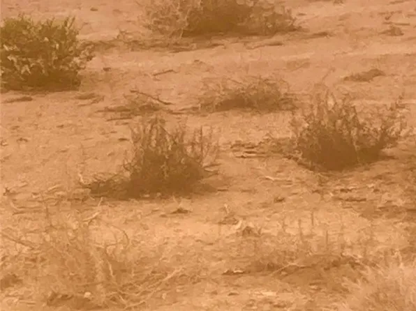 0 N Avenida Sierra Madre, Kingman, AZ 86409