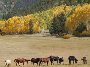 26000 County Road 77, Lake George, CO 80827
