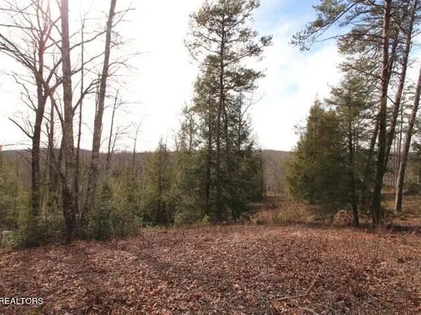 LOT 70 Big Leaf Cv, Jamestown, TN 38556