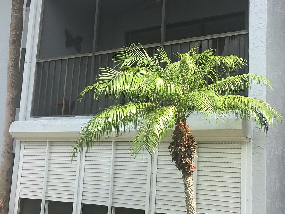1st image of 9970 Sailview Ct APT 11