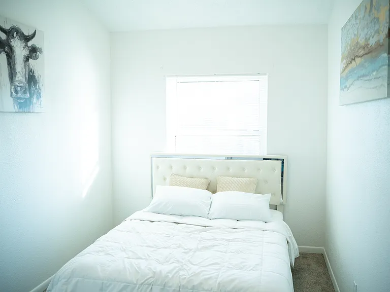 4222 La Palma Ct — Photo 17