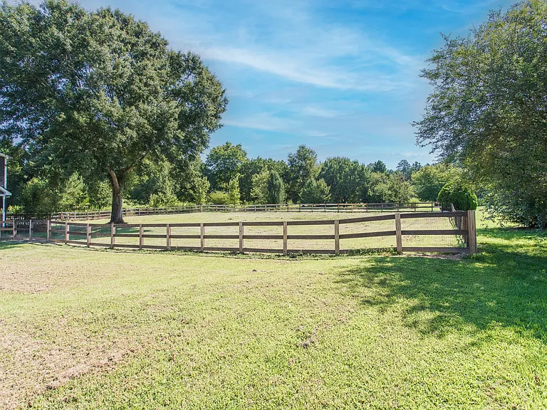 Fenced Back Yard