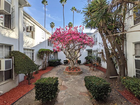Courtyard Garden