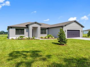 13494 Lake Gallagher Dr, Dover, FL 33527