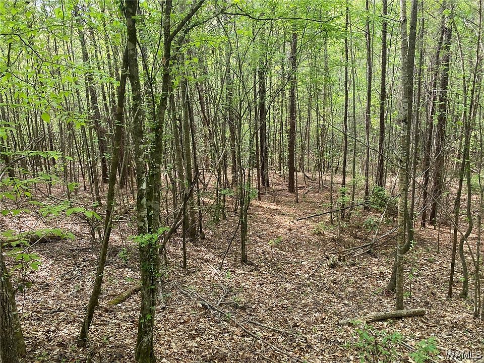 2nd image of 0 Pine Hill Rd