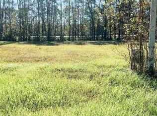 12570 S Lakeshore Dr, Walker, LA 70785