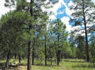 3851 Timberline Dr, Happy Jack, AZ 86024