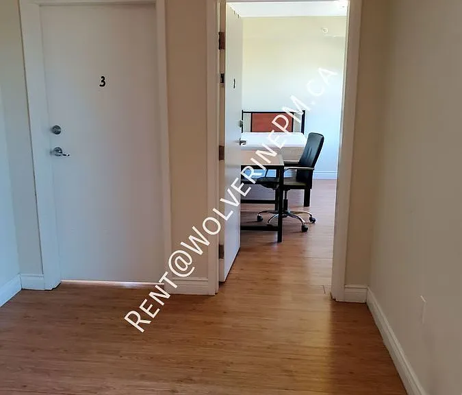 392 Albert St #304-2 — Photo 6