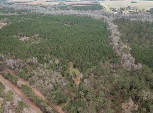 17.1 Jones Rd, Dawson, GA 39842