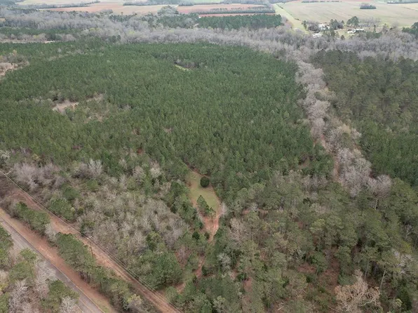 17.1 Jones Rd, Dawson, GA 39842