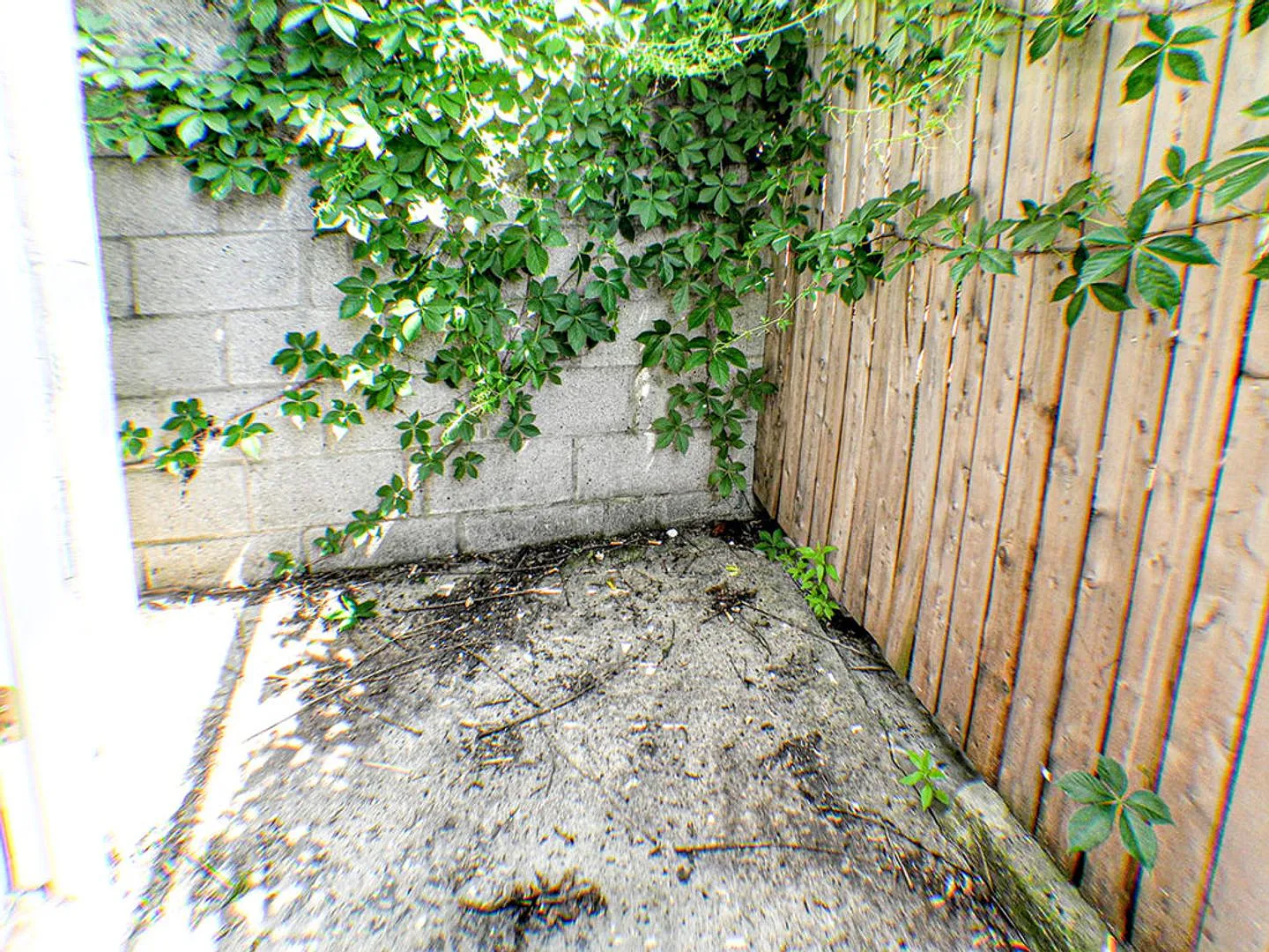 Point Breeze Three Bedroom Home — Photo 4