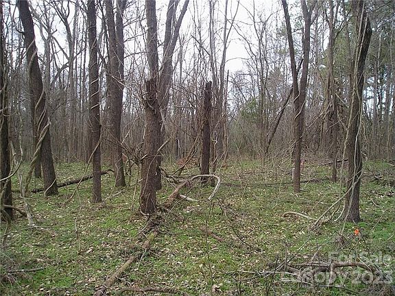 2nd image of 4206 Old Pageland Marshville Road 5 #6-LTS