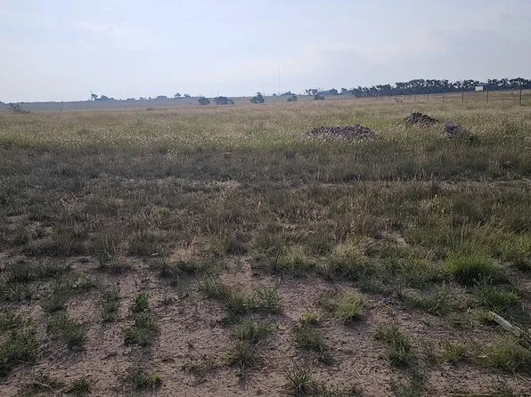 Private Road Anthony, Shallowater, TX 79363