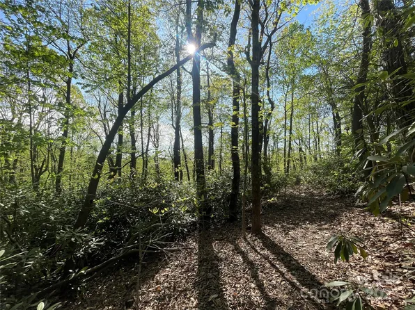 59 Mint Hill St, Flat Rock, NC 28731