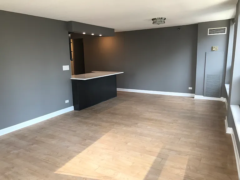 440 N Wabash Ave #3105 — Photo 13