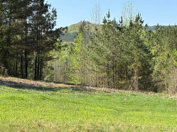 108 Leggett Rd, Sale Creek, TN 37373