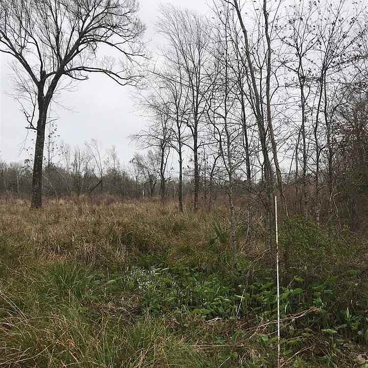 2nd image of 303 Rose Ln