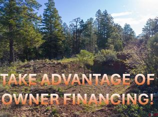 157 Carey's Court, Pagosa Springs, CO 81147