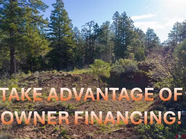 157 Carey's Court, Pagosa Springs, CO 81147