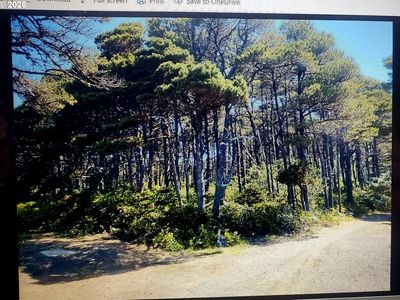 SW Sea Way Loop, Waldport, OR, 97394