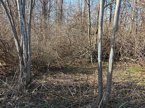 3rd image of V/l County Rd #681