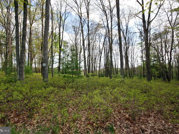 14 Crows Point Rd, Swanton, MD 21561