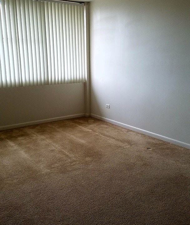 2nd image of 217 Lindsay St APT 20