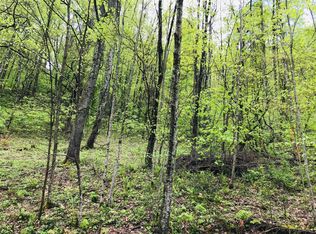 Wolf Way, Sevierville, TN 37862